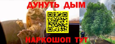 ALPHA PVP Ставрополь