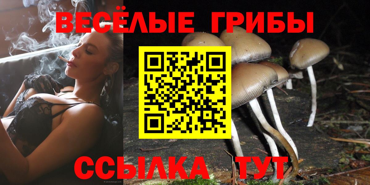 Галлюциногенные грибы мицелий  Вход с VPN  Александров  Галлюциногенные грибы прущие грибы 